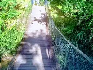 Forest Park Samae