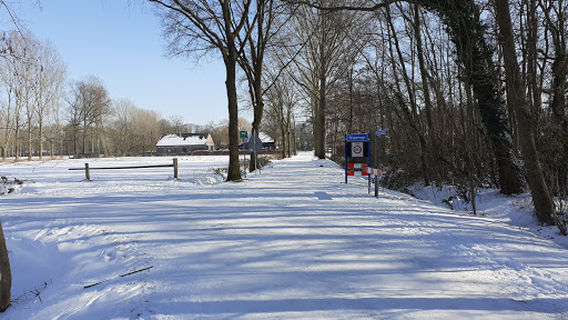 Nuenen
