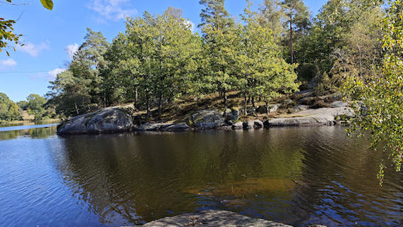 Långasjönäs Pappersbruk