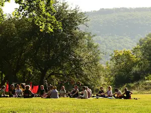 Baza Otdykha "Klenovik"