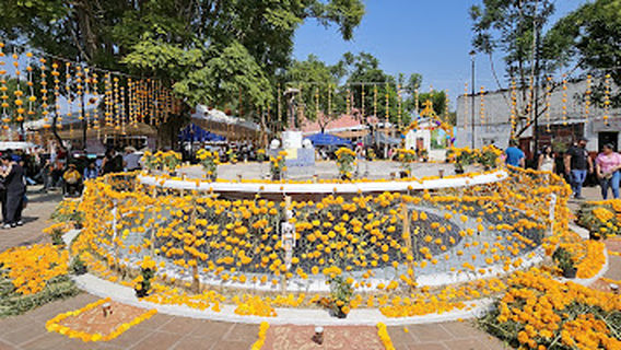 Jardin municipal