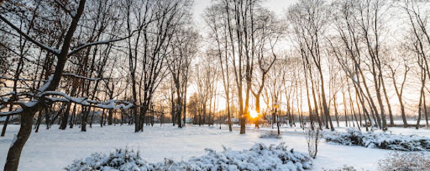Kochubeїvskiy park