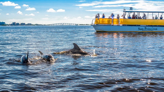 Adventures in Paradise - Fort Myers Beach