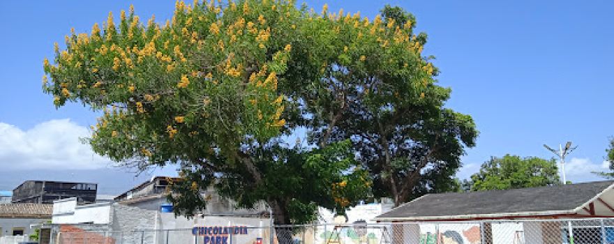 Madres Park