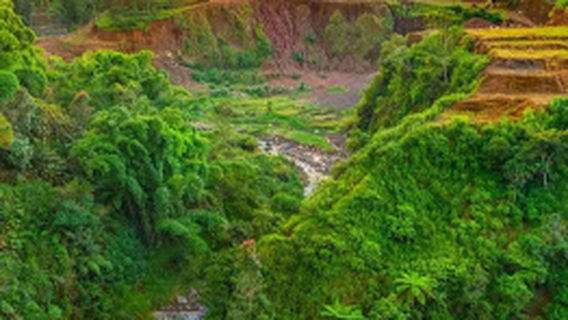 Curup Quiet, Bedegung