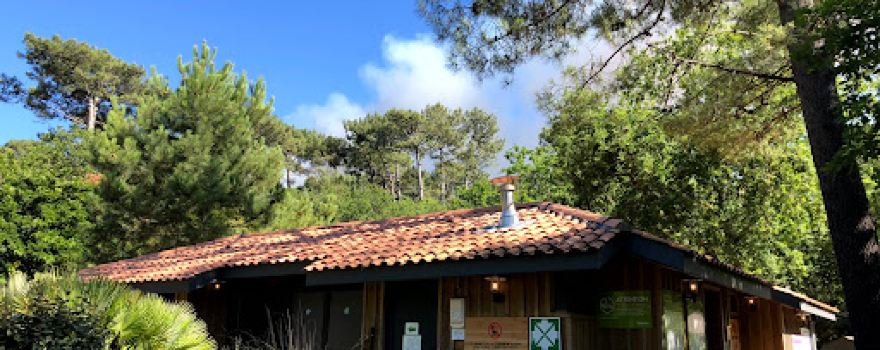 Camping La Forêt