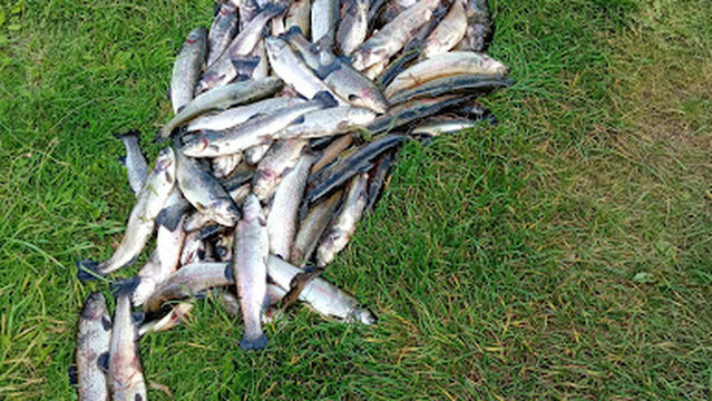 Les Etangs Collevillais