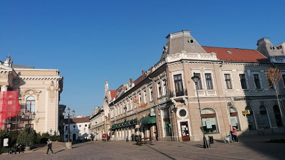 Emanuil Gojdu Square