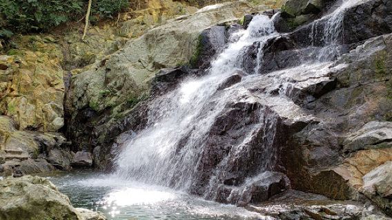 Koroyanitu National Park