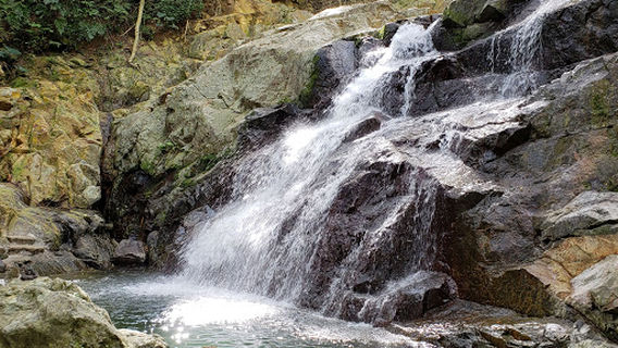 Koroyanitu National Park