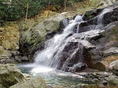 Koroyanitu National Park