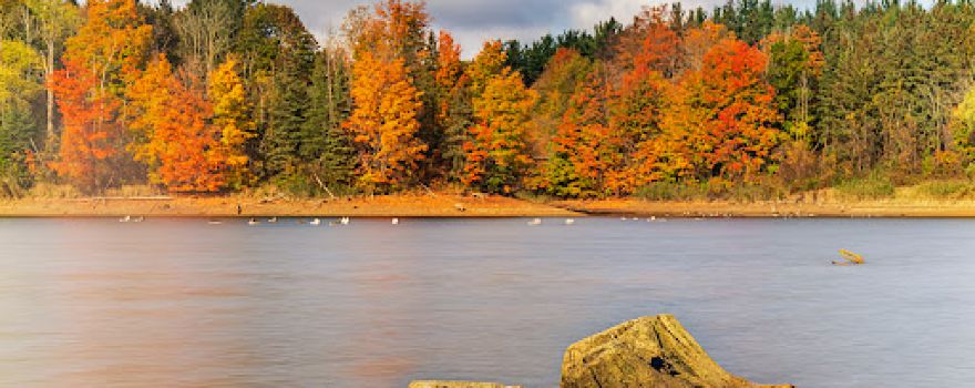 Kelso Conservation Area