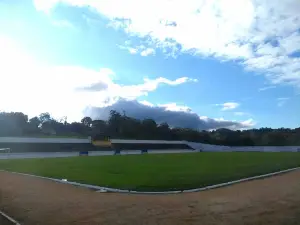 Estádio Barbosão