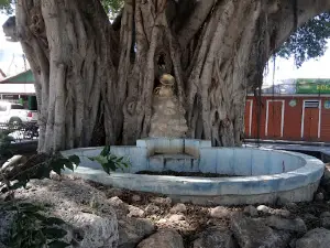 Duverge Central Park