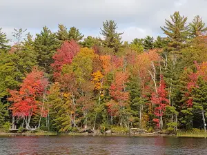 Mattanawcook Pond