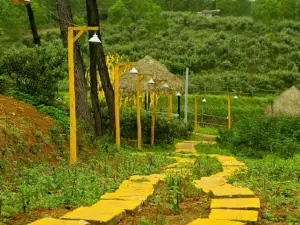 AM FARM - Nông trại An Mã