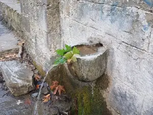 Manganiari Spring