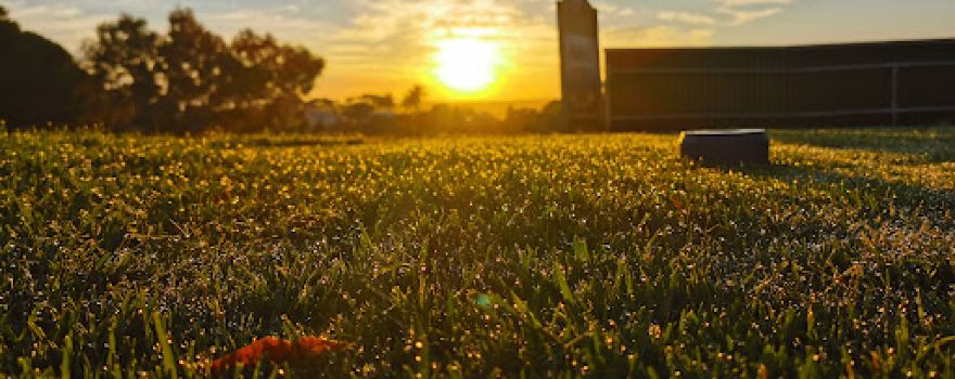 Mannum Golf Course