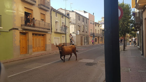 Plaza de Toros LA UTIELANA.