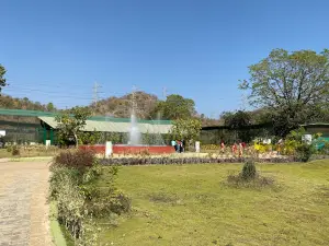 Jungle Safari - Statue of Unity