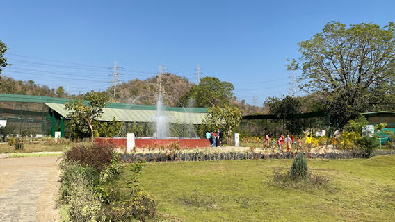 Jungle Safari - Statue of Unity