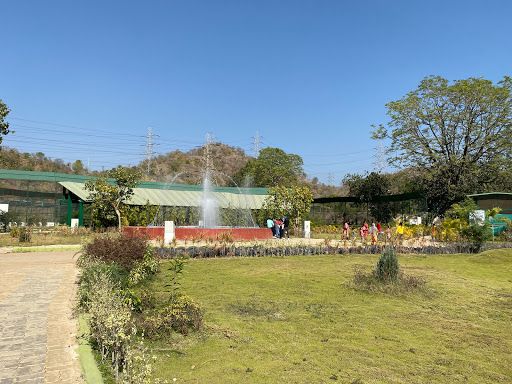 Jungle Safari - Statue of Unity