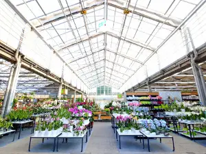 Dehner Garten-Center