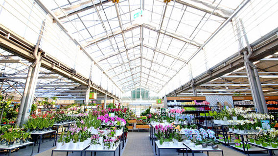 Dehner Garten-Center