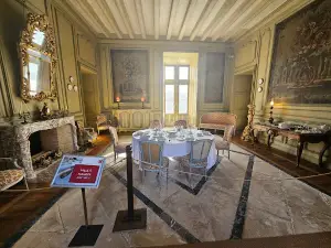 Château du Plessis-Bourré