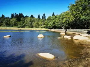 Lac du Merle