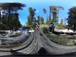 Grasshopper Campground and Picnic Area