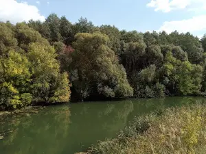 Moksha River