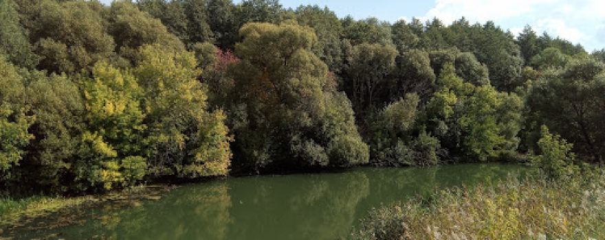Moksha River