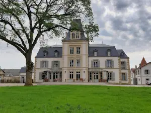 Château de Damblain