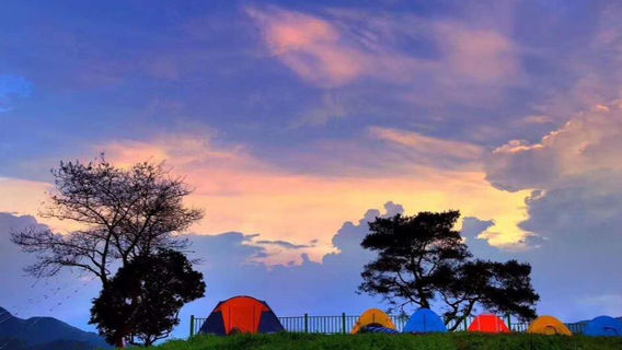 da rong shan tong you ping lu ying di