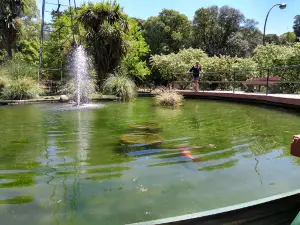 The Municipal Zoo Park High