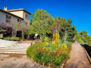Laberinto Casa Tapena