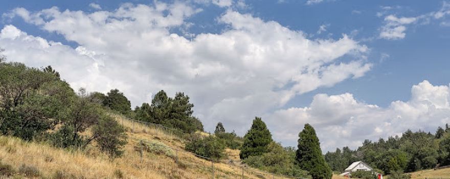 Jess Martin County Park