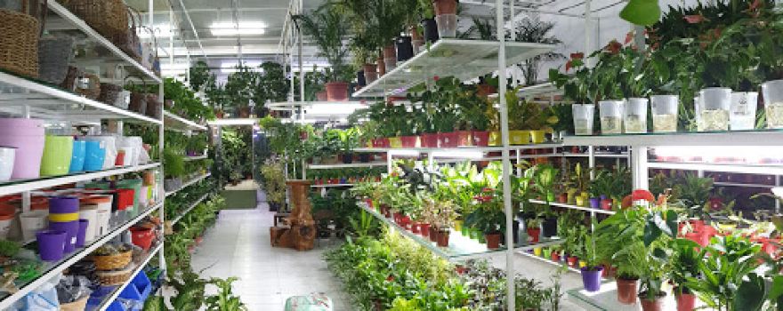 hejair garden & landscaping