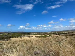 Hacienda El Cenizaro Tours & Adventures