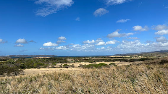 Hacienda El Cenizaro Tours & Adventures