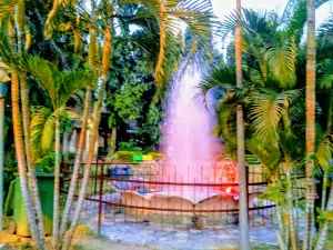 Narayani Park