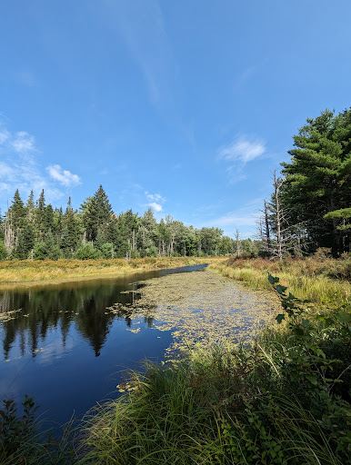 Riverbrook Preserve