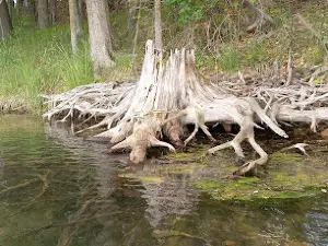 Dutch Hollow Lake