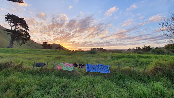 Oraka Reserve Freedom Camping