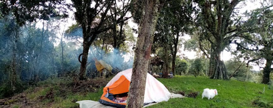 La Roca (cavernas y camping)