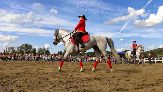 Barton Fair