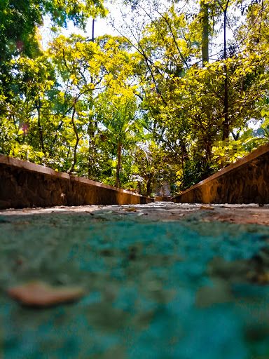 Melchor Ocampo Park