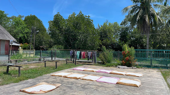 Balik Pulau