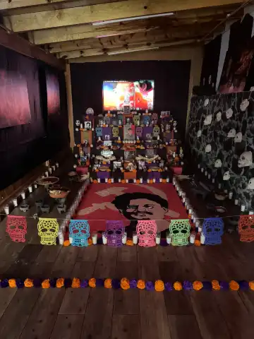 Hotels near Leon Trotsky's House Museum